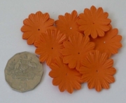 AS4E - 32mm Hot Orange Daisy 